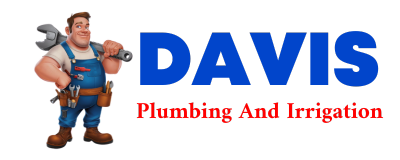 Trusted plumber in FELICITY